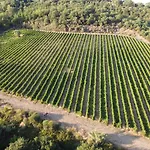 Agroturismo Tabaccaia - Cortona *